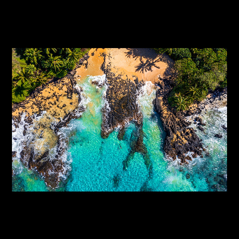 spearfisherman maui hawaii drone secret beach makena drone hassleblad palm tree beach ocean