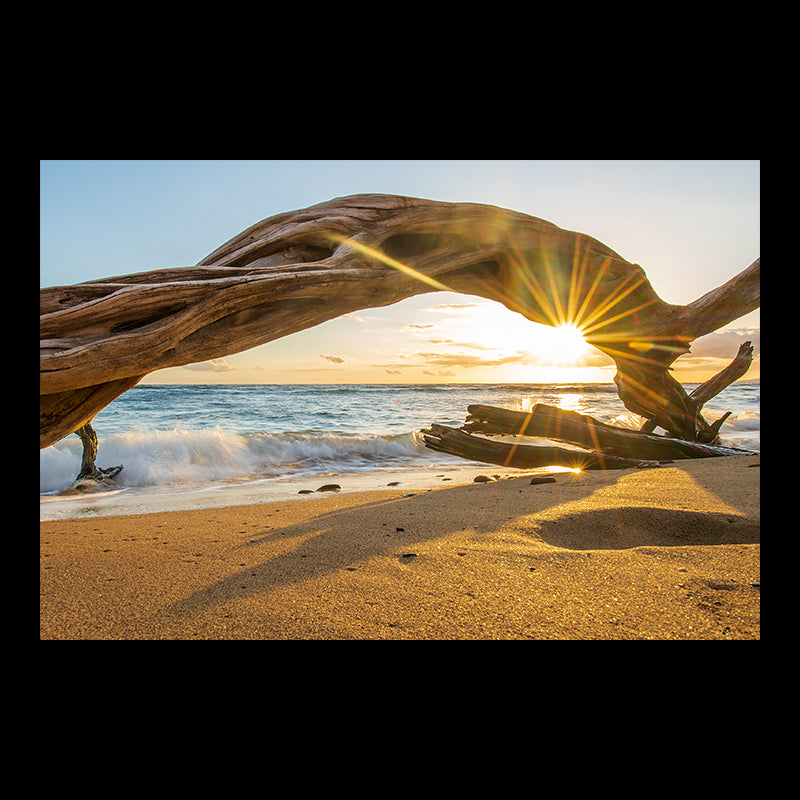 Twisting arch maui olowalu cesere brothers sunset driftwood sun rays