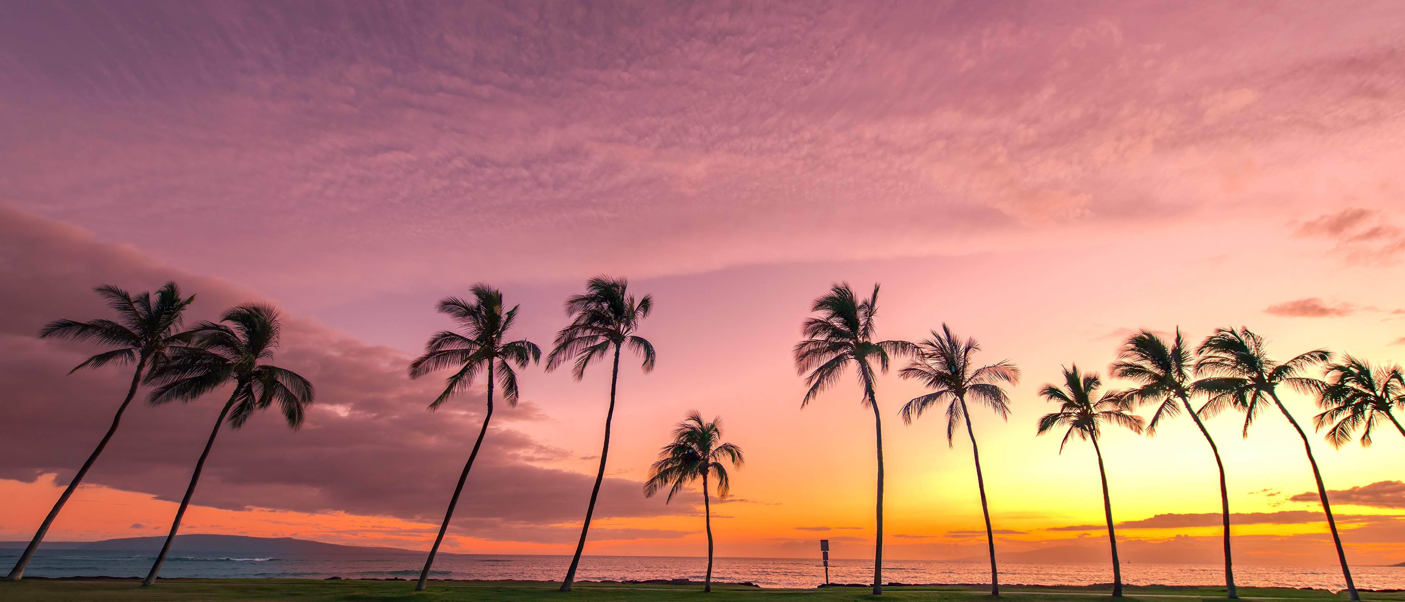 Kihei Nights