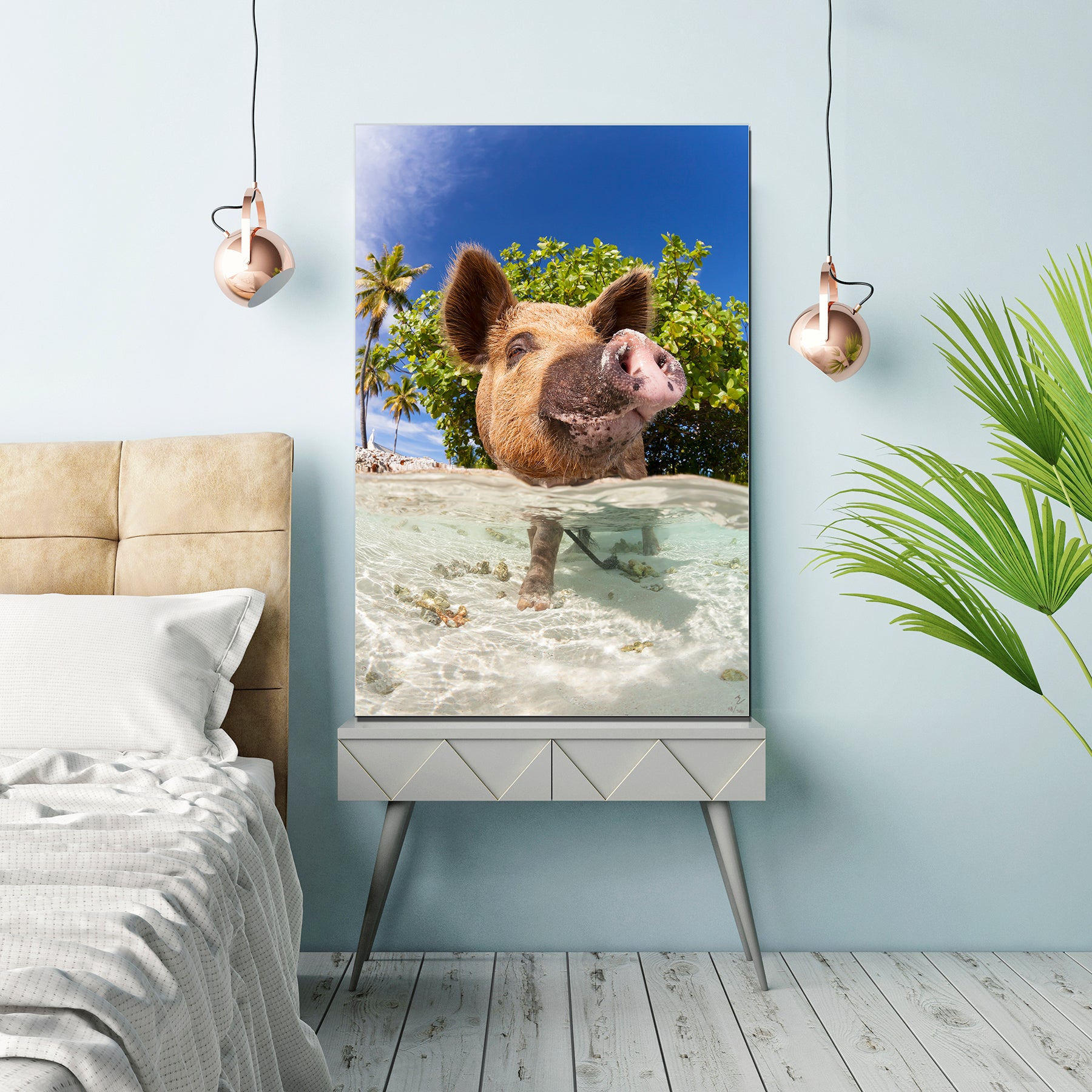 Lights, Camera, Poke!