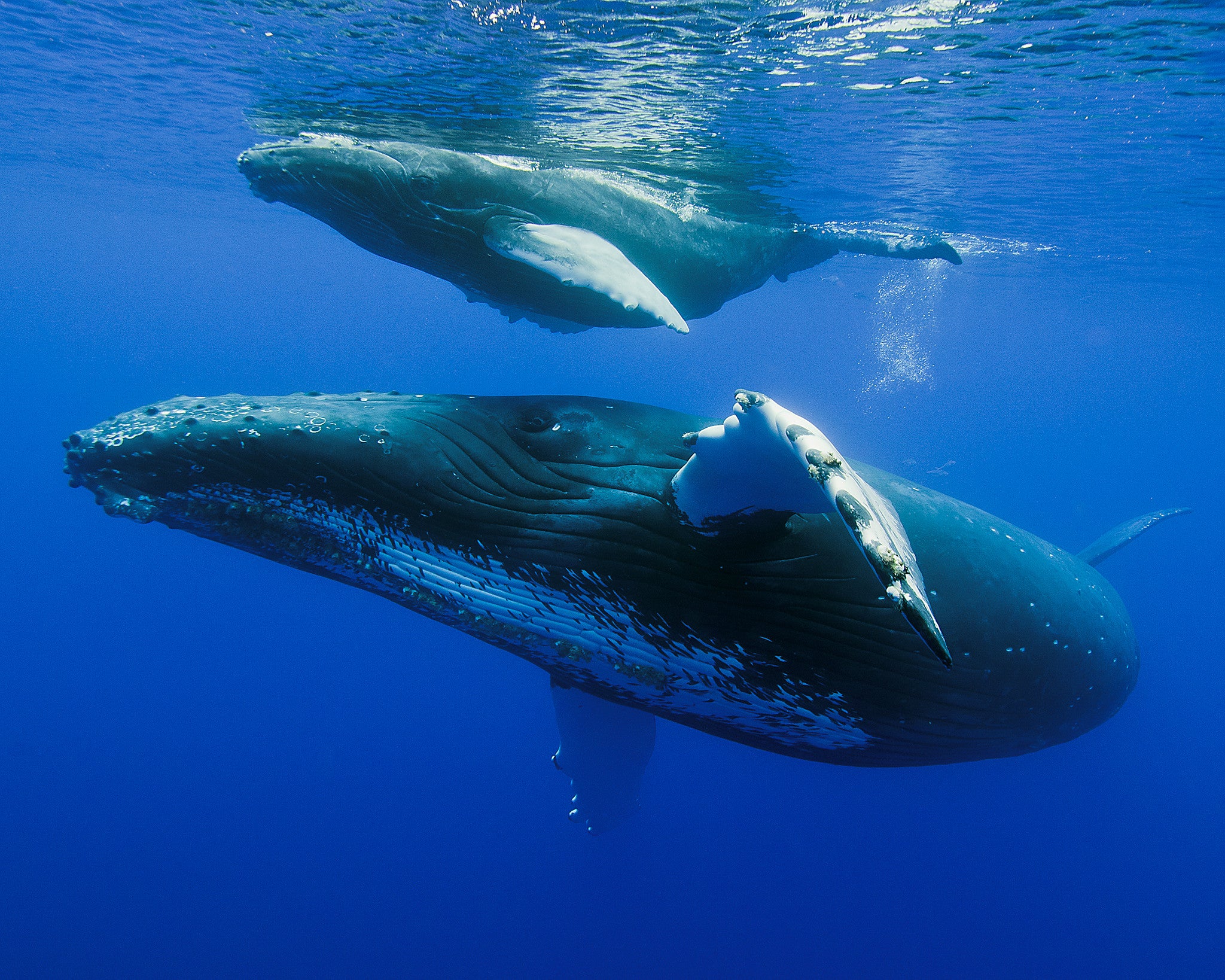 Mom & Baby