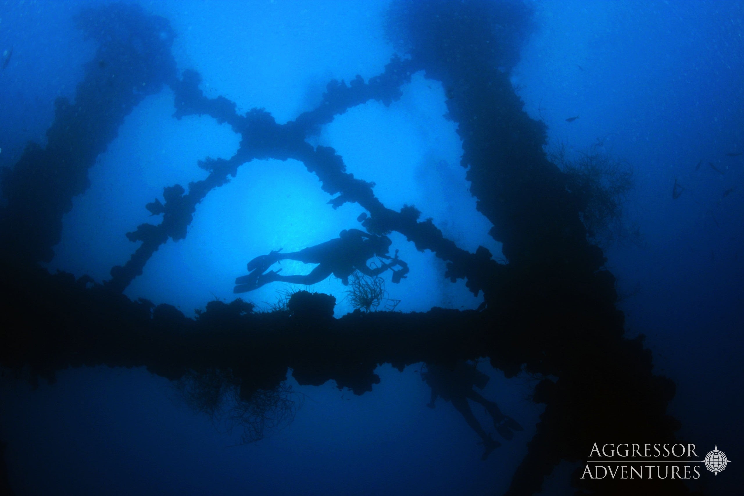 Palau 2022 - December 11th-18th