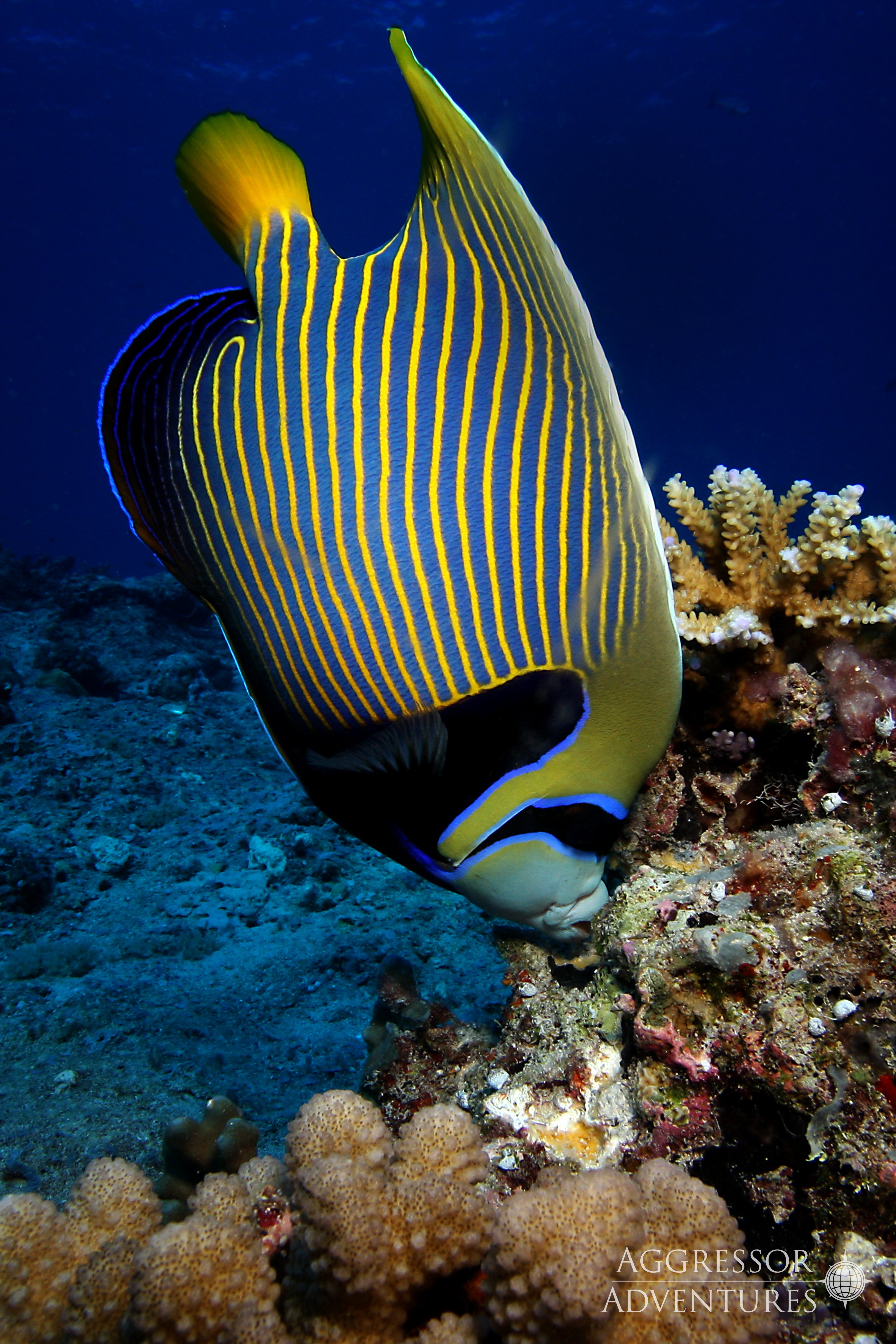 Palau 2022 - December 11th-18th