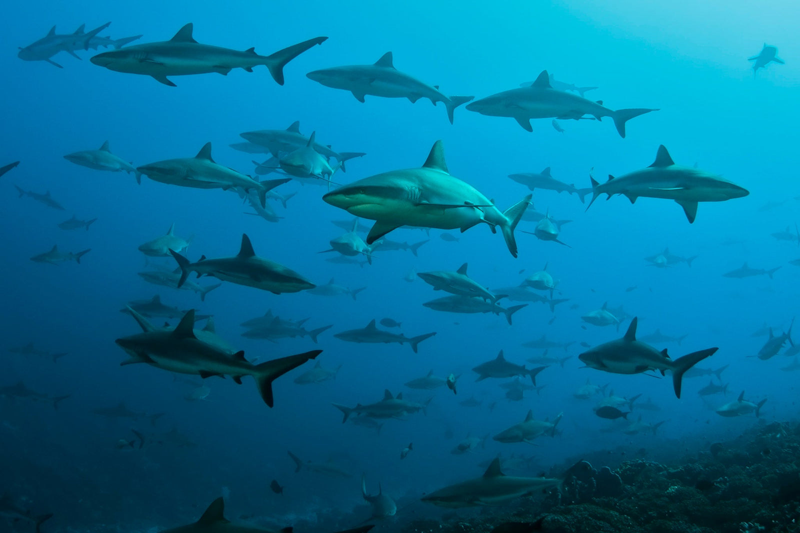 French Polynesia / Tahiti