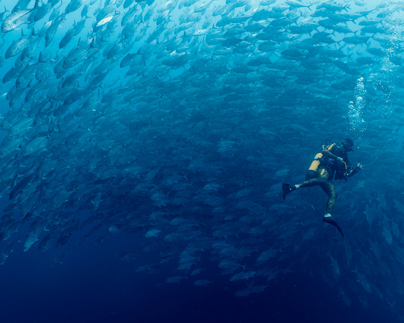 Dive Guide School Far.jpg