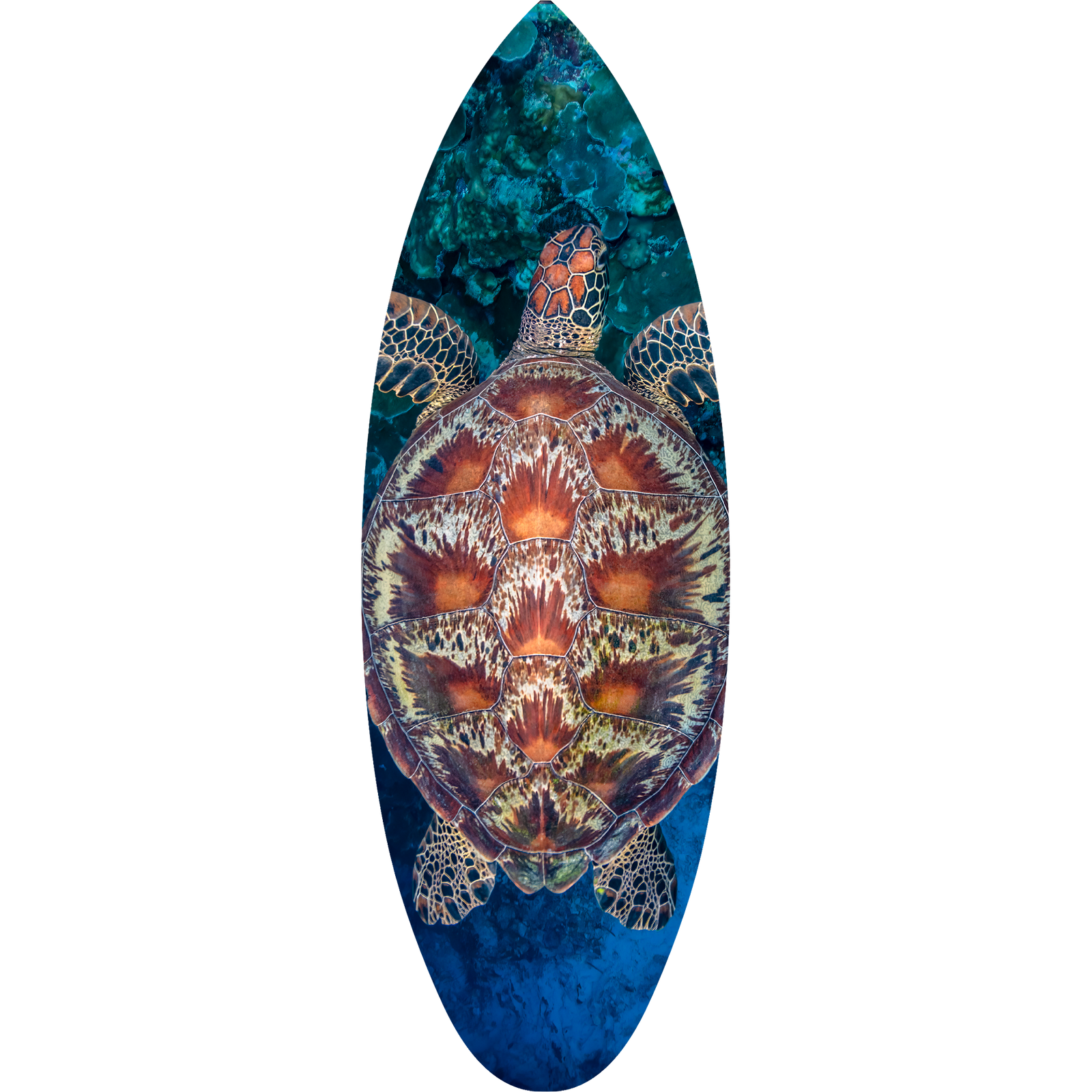 Michelangelo Surfboard