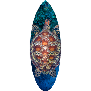 Michelangelo Surfboard