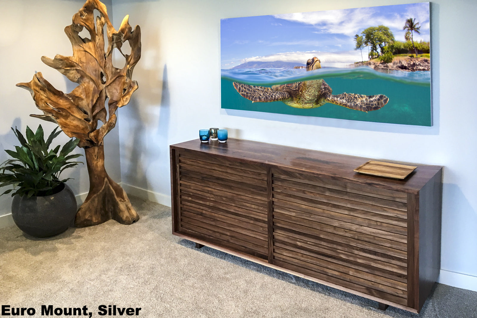 A beautiful over/under or split image of a turtle breathing at the surface. You can see the turtles head above water taking a breath with an island and palm trees in the background and you can also see the complete turtle underwater swimming. This image was taken on Maui.