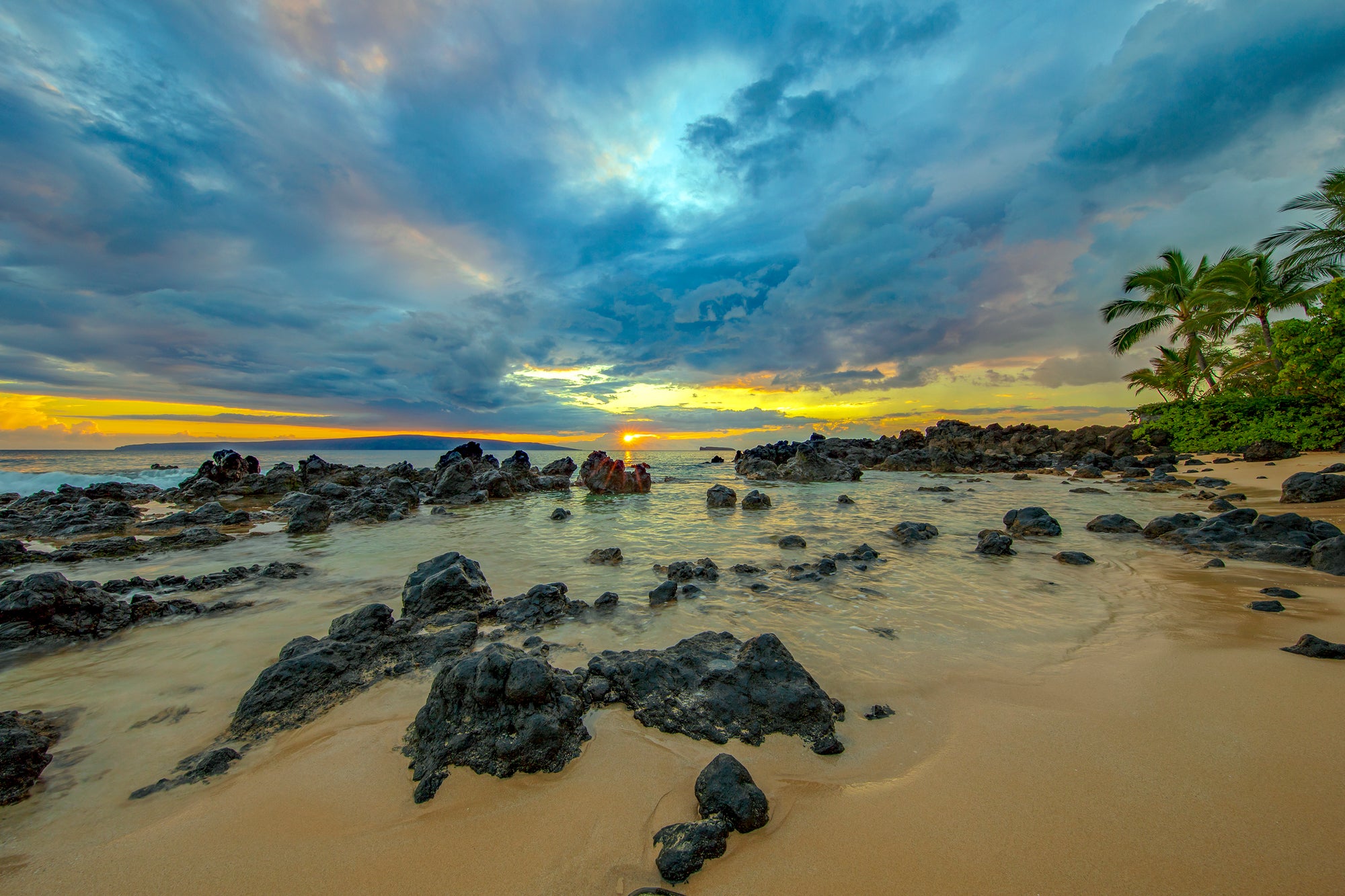 Maui Magic