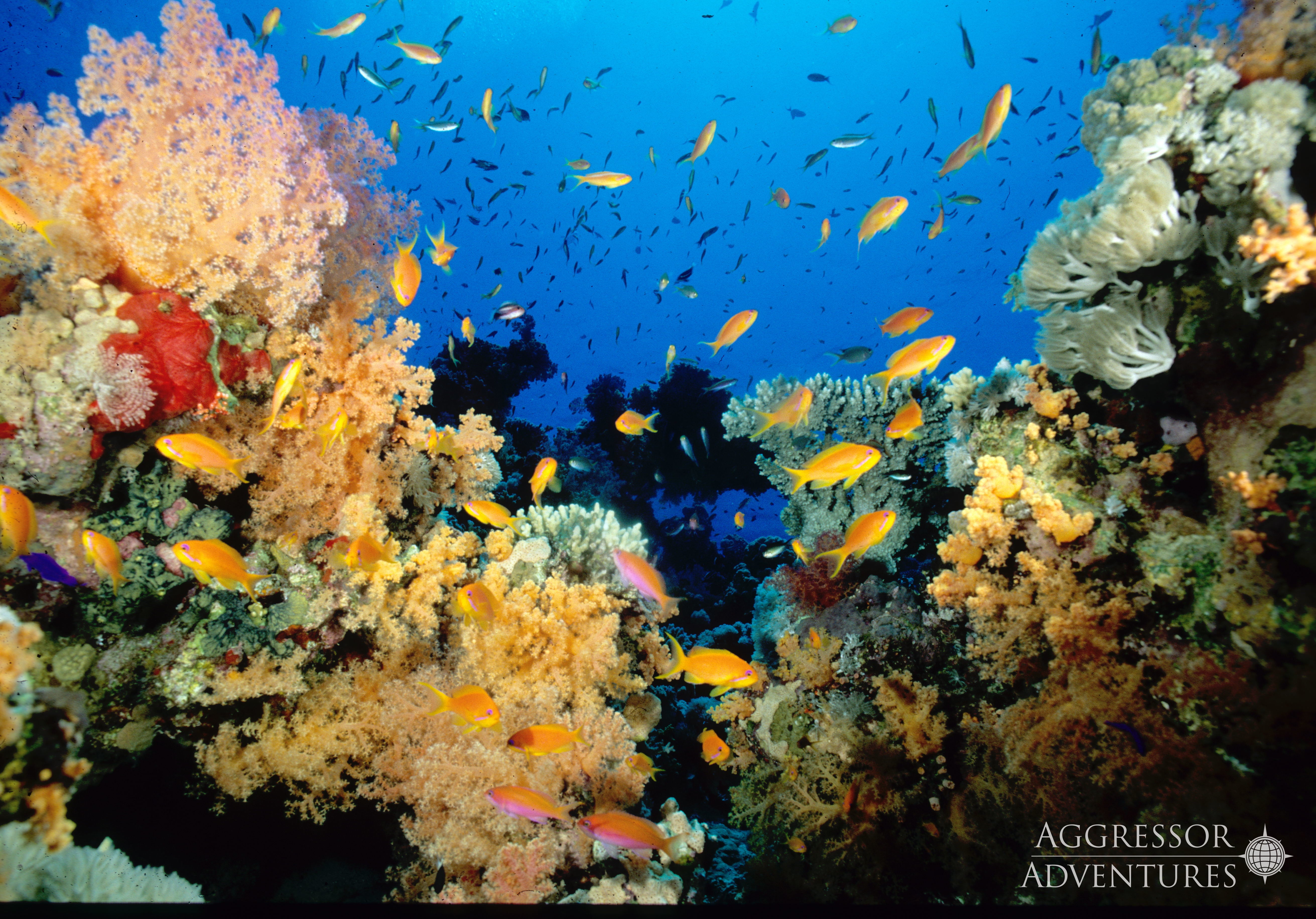 Palau 2022 - December 11th-18th