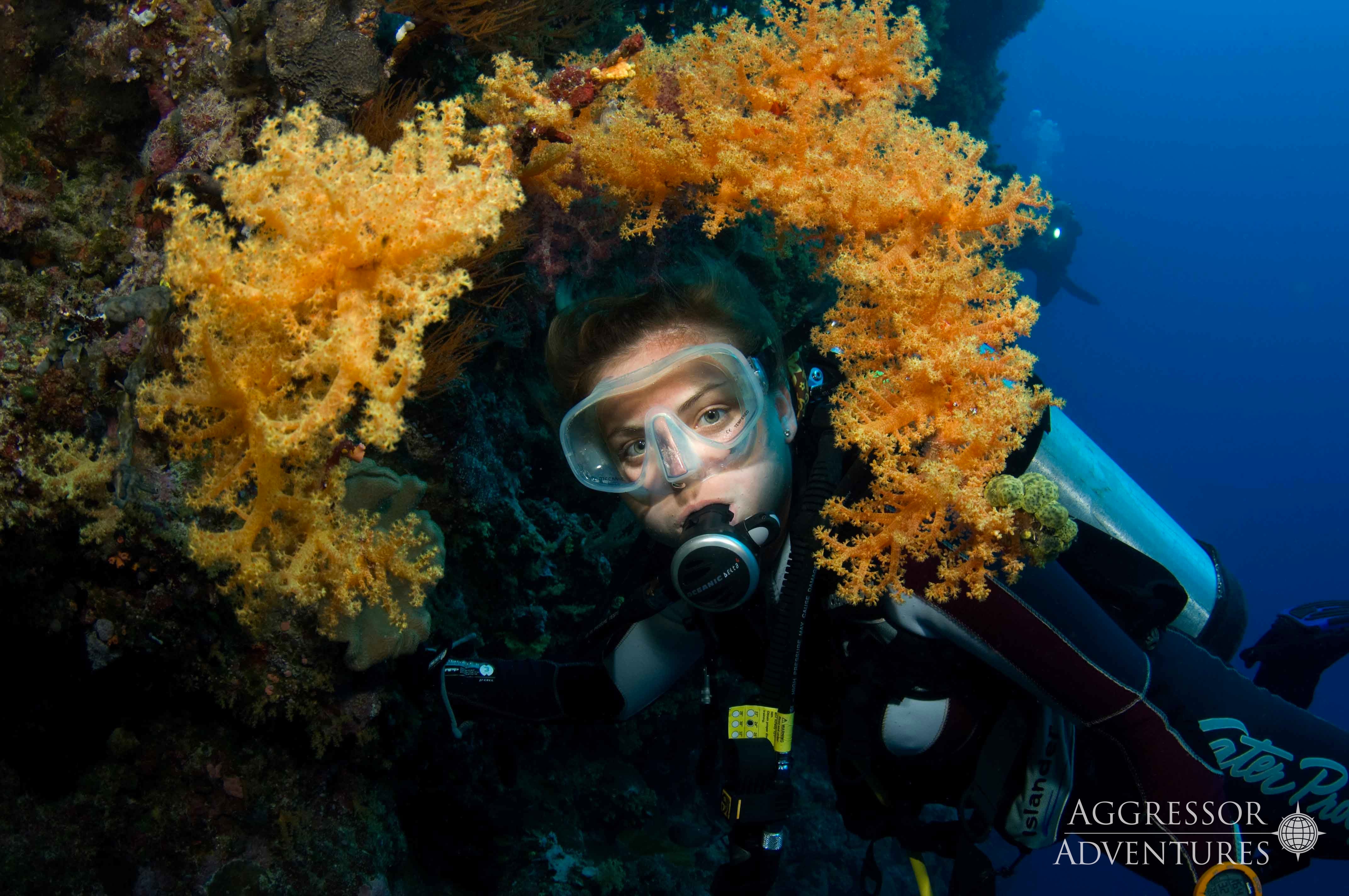 Palau 2022 - December 11th-18th